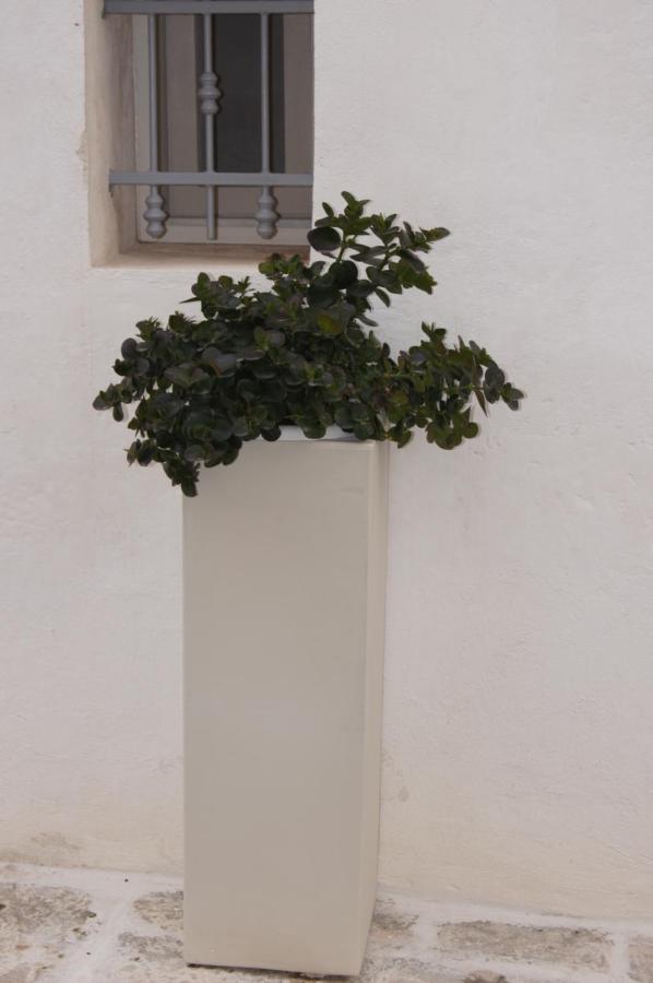 Casetta Lena Villa Ostuni Buitenkant foto